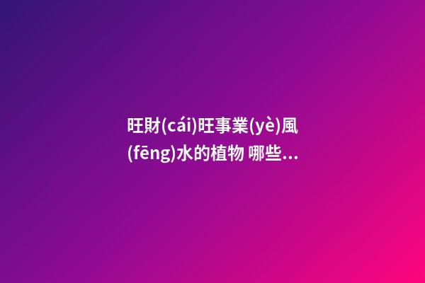 旺財(cái)旺事業(yè)風(fēng)水的植物 哪些植物的風(fēng)水會(huì)比較好